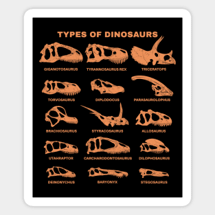 Types of Dinosaurs Table for Kids Magnet